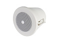 CVGaudio CRW4T